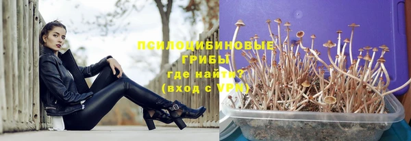 прущие грибы Алексеевка