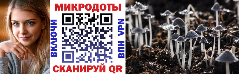 blacksprut ONION  Анадырь  Псилоцибиновые грибы GOLDEN TEACHER 